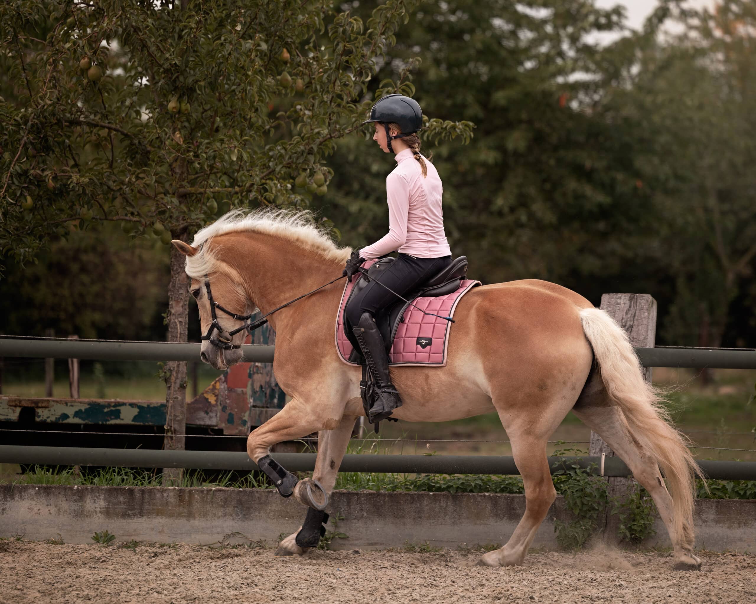 Herfst Photoshop Actions Paardenfotografen