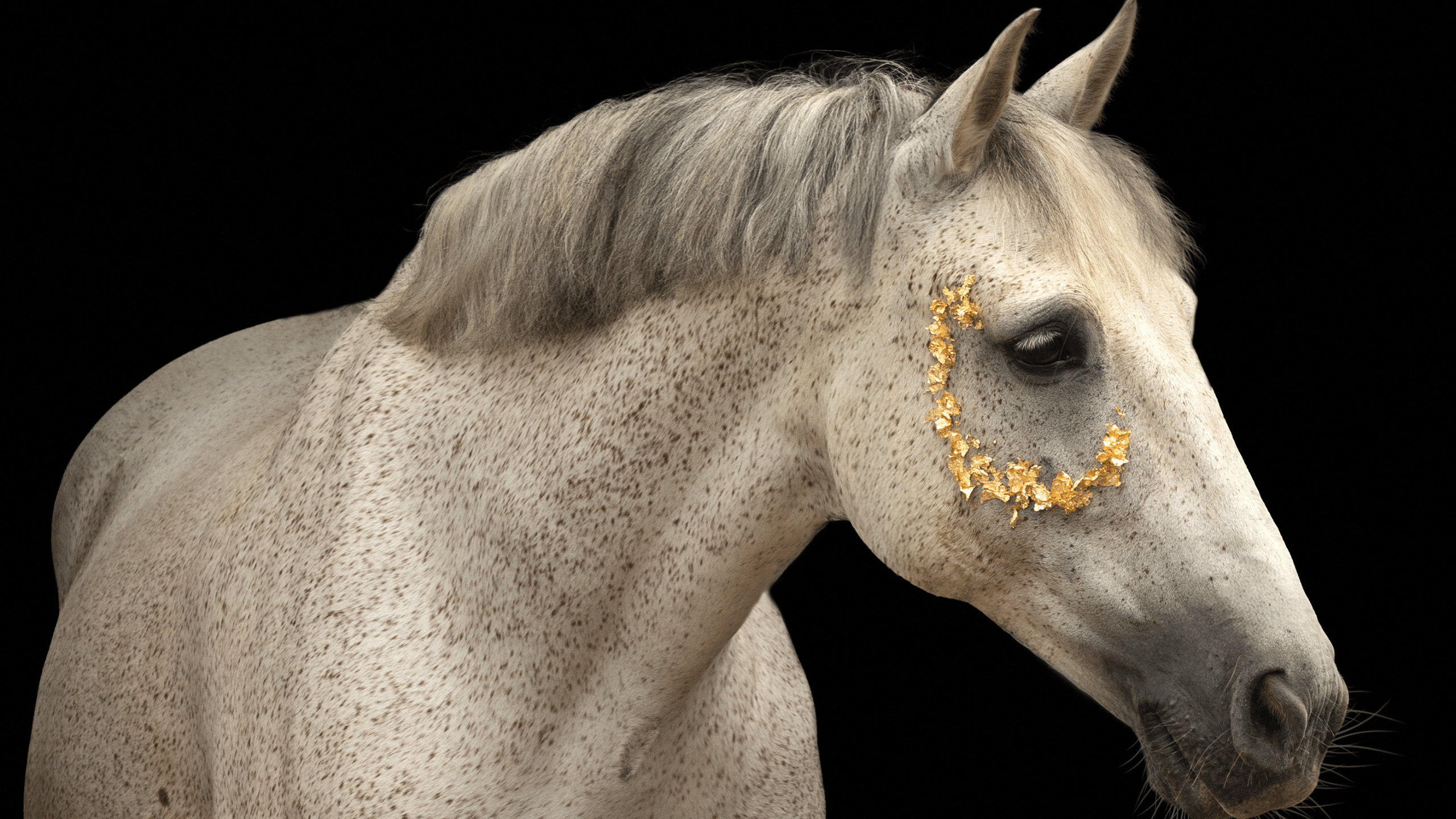 Hoe je een Magische Paarden Blackfoto Maakt met Bladgoud ✨