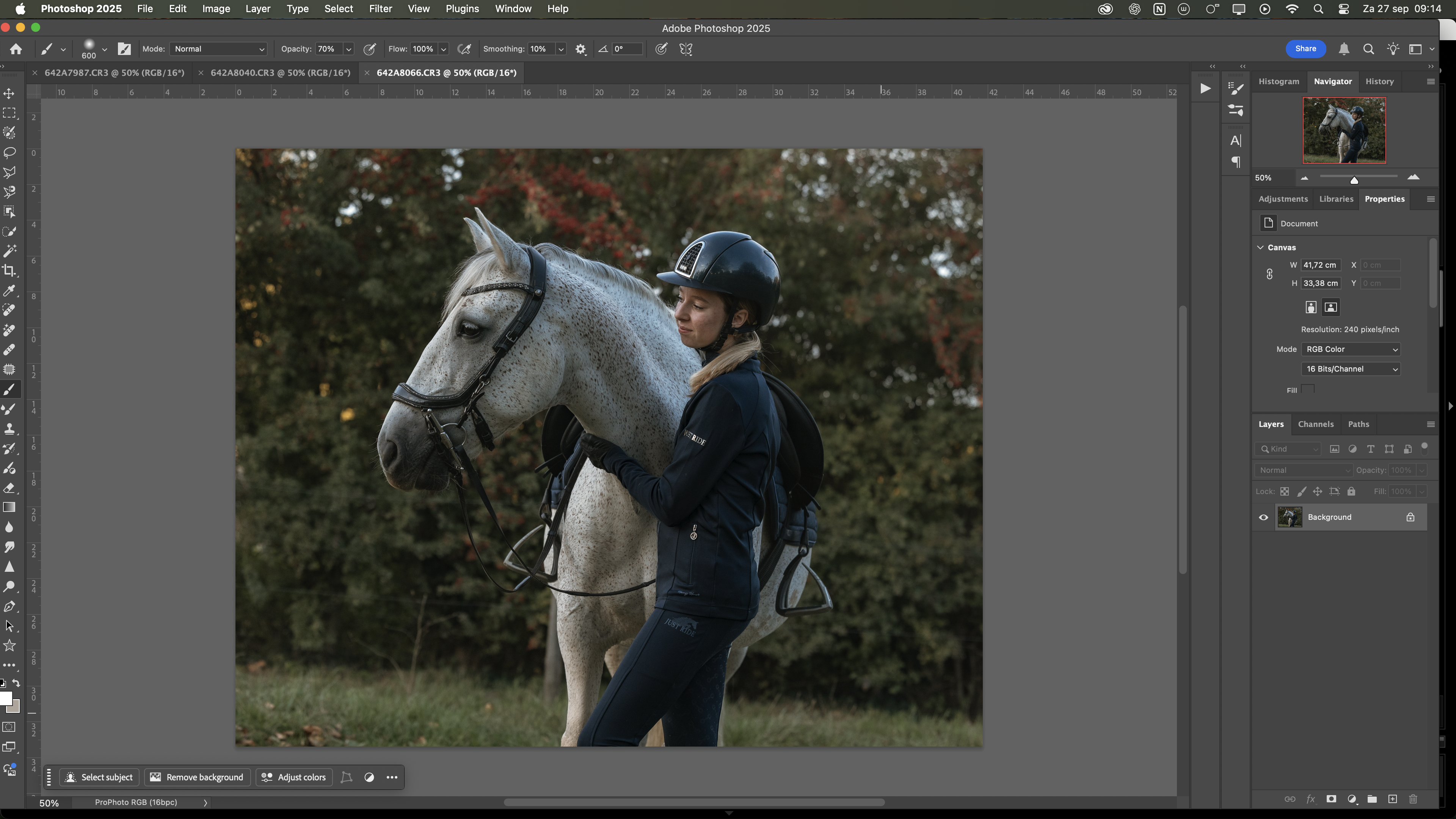 batch editing Photoshop paardenfotografie