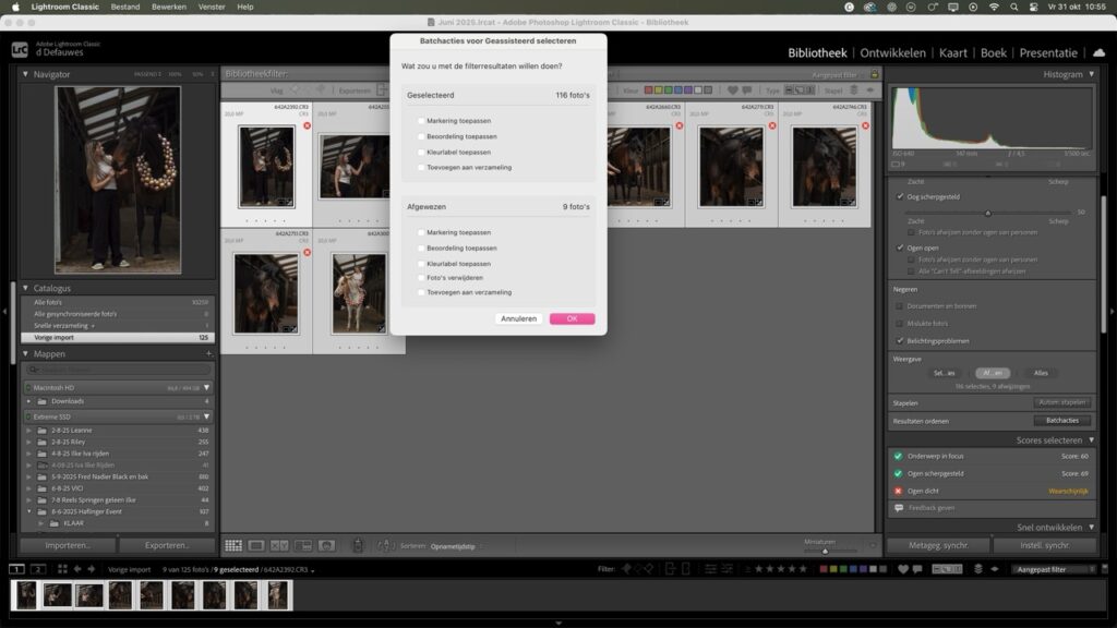 Lightroom AI Culling paardenfotografie