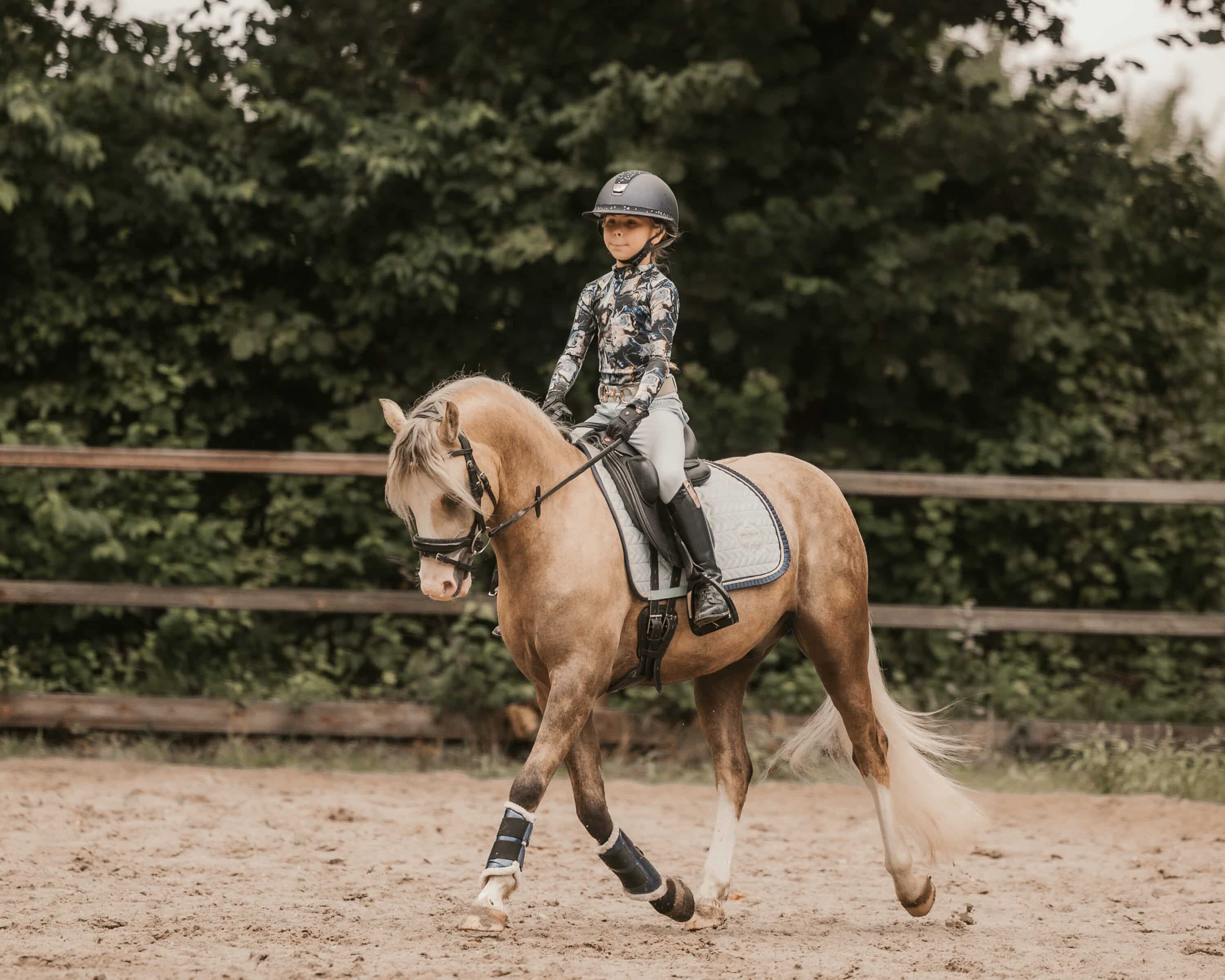 Vergelijking RAW en JPEG paardenportret