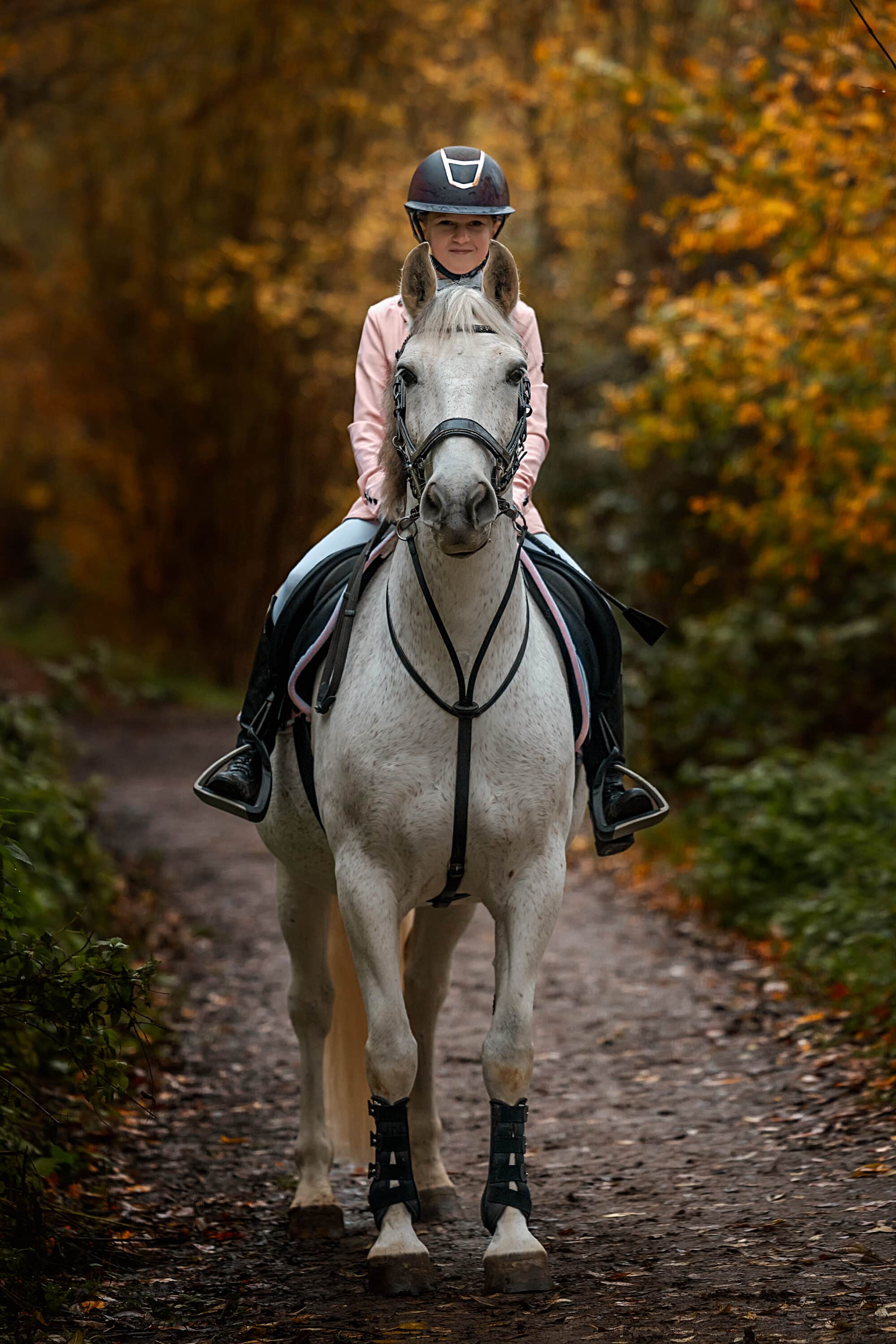 Lightroom Workflow voor Paardenfotografen: Van Chaos naar Consistente Edits