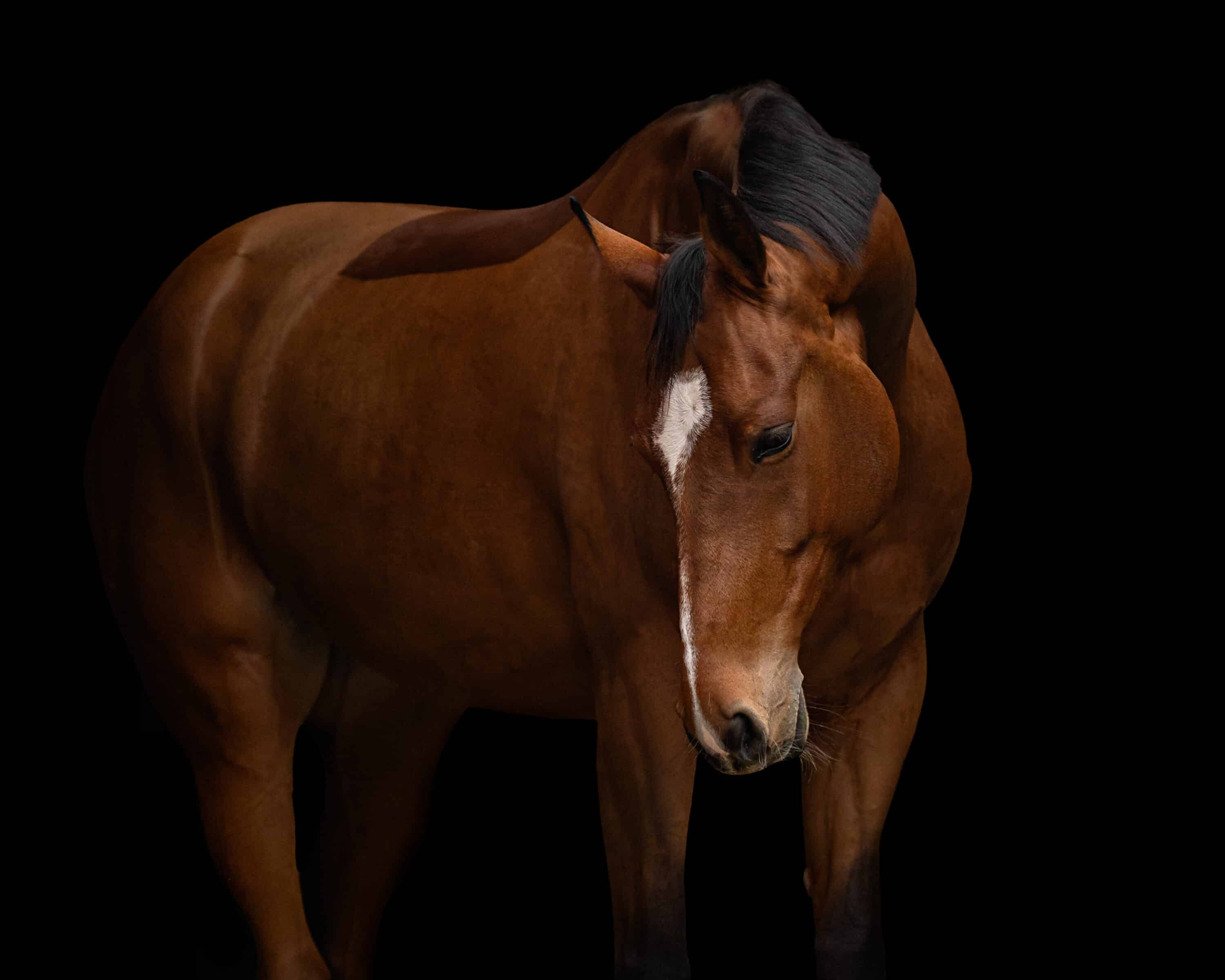 Wanneer tools helpen bij blackfotografie (en wanneer ze het probleem juist verbergen)