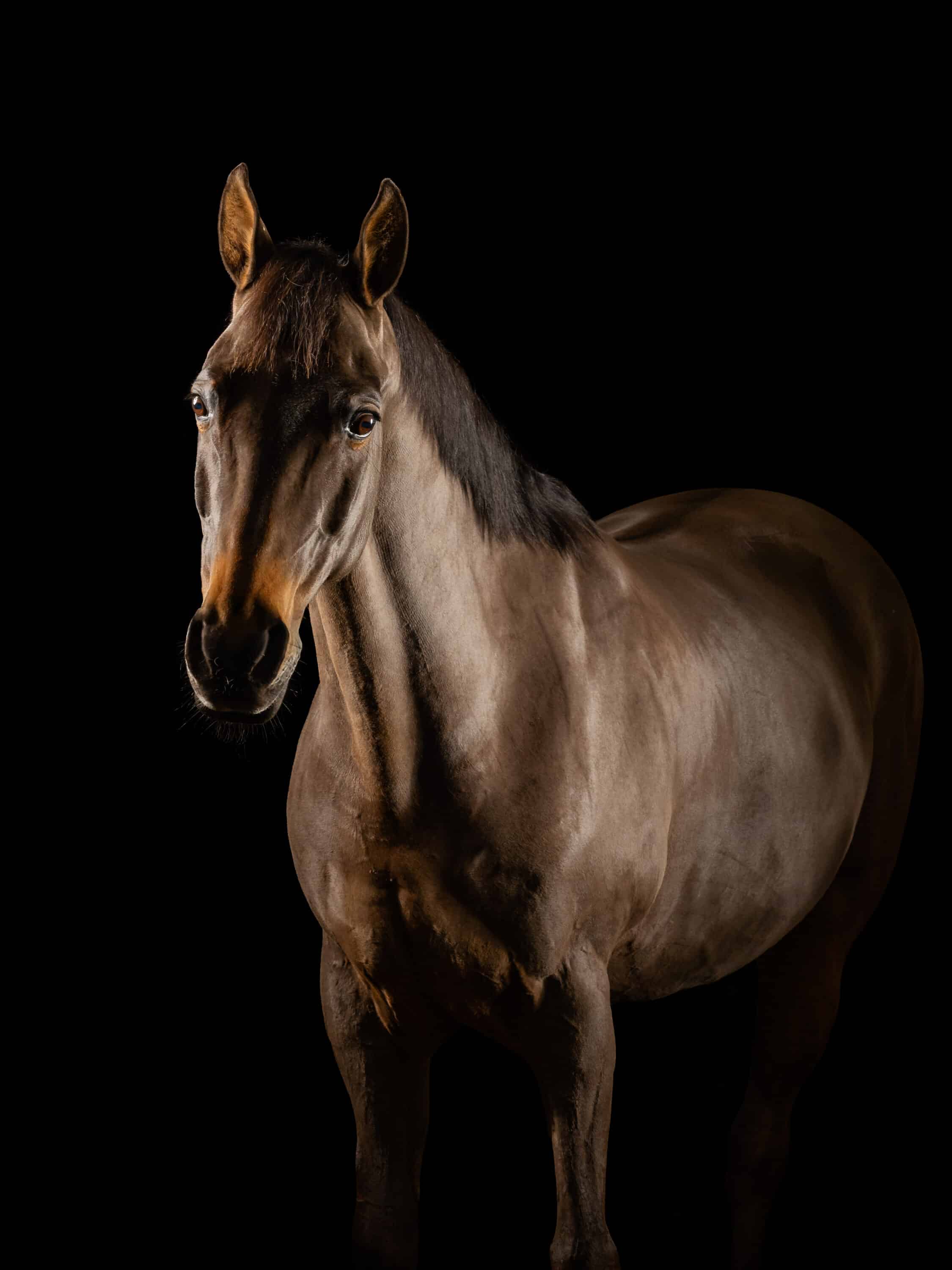 Achtergrond zwart krijgen: 3 methodes