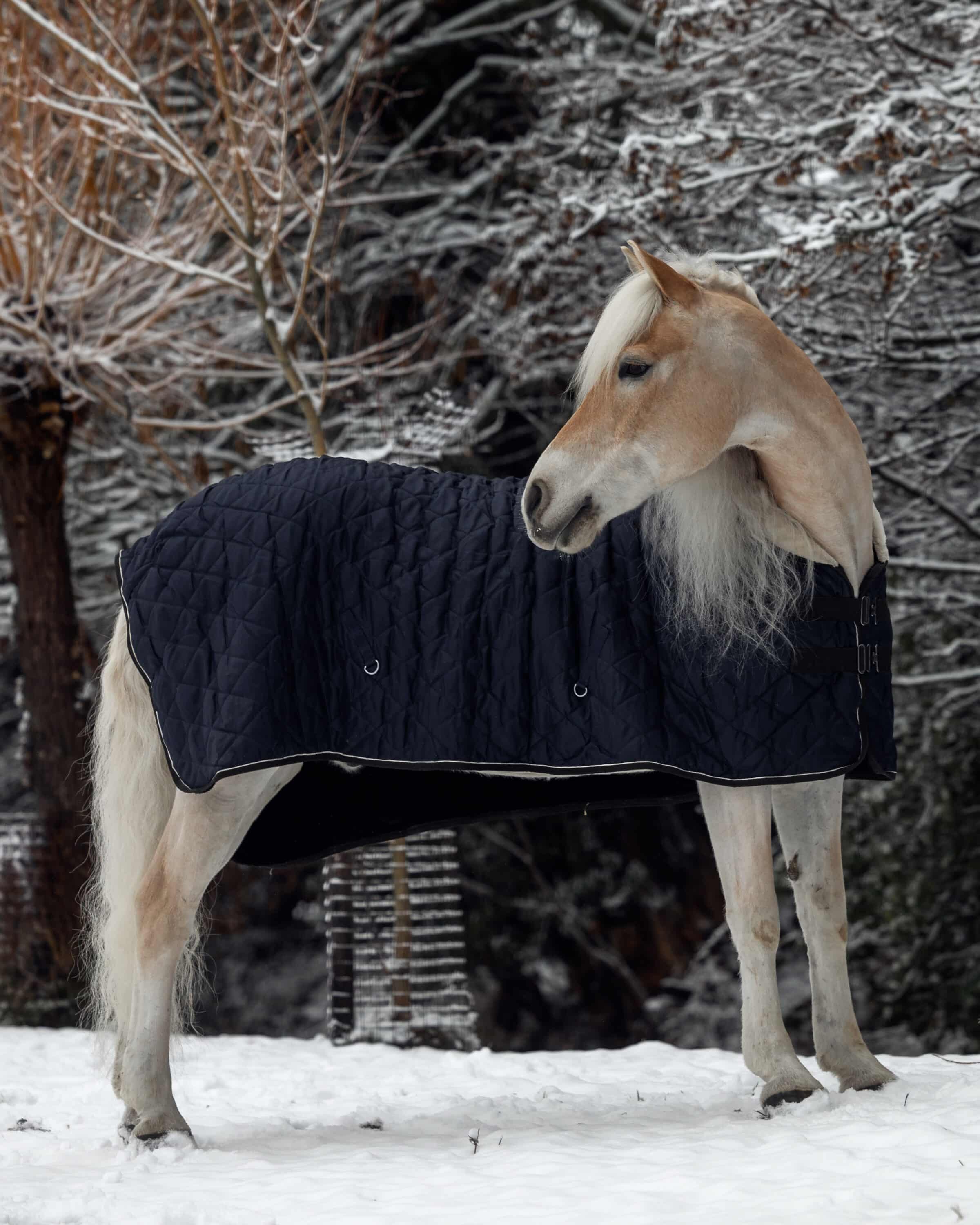 Contentpijlers voor fotografen: de rustige kapstok waarmee je wél post (zonder elke week opnieuw te bedenken wat)