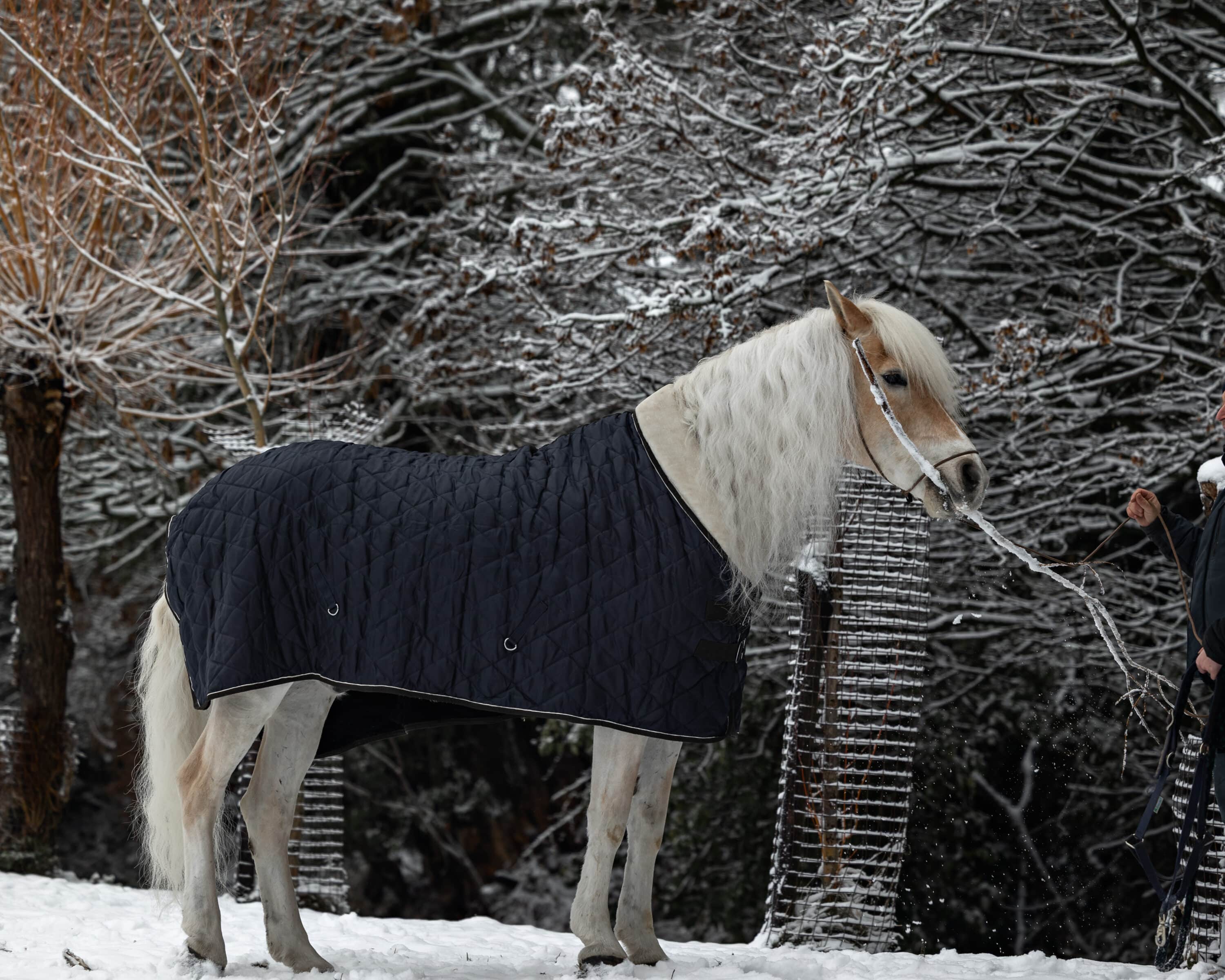 Baas over je agenda als fotograaf (zonder dat je week voelt als brandjes blussen)