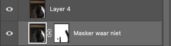 Photoshop masking, kleurzweem corrigeren en detail behouden bij zwart paard