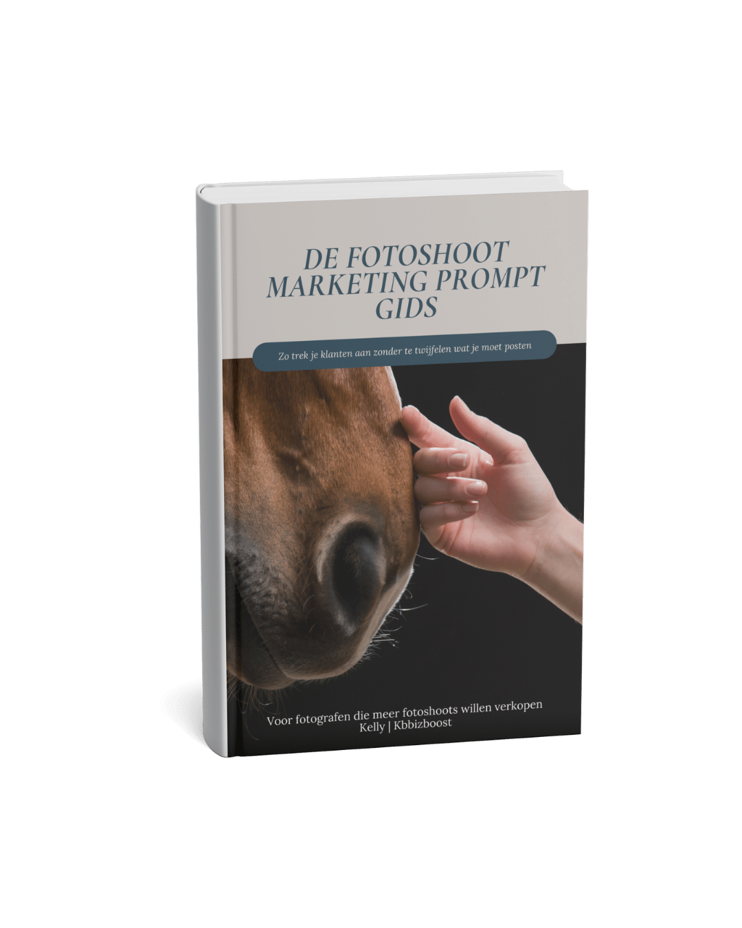 Gratis marketing gids voor paardenfotografen