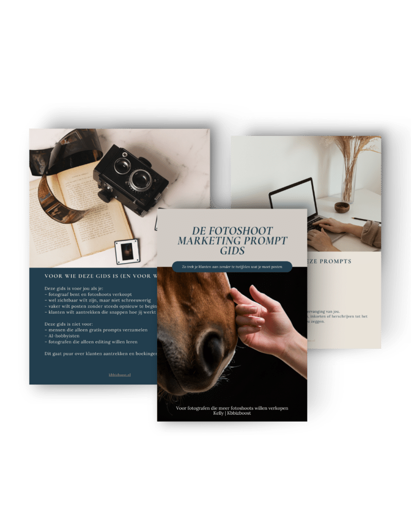 De Fotoshoot Marketing Prompt Gids