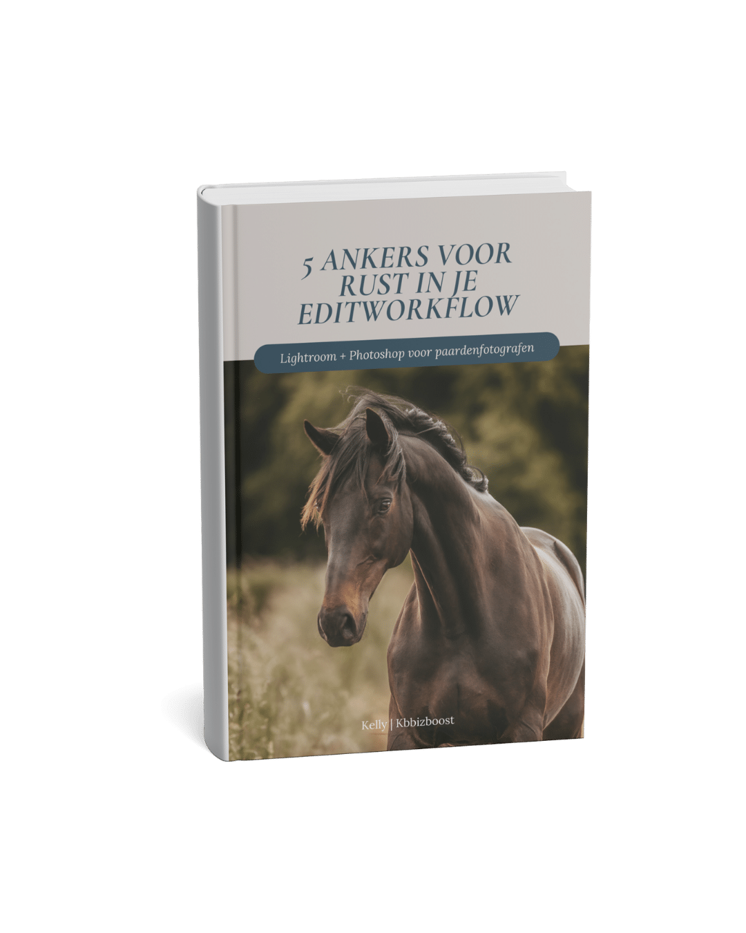 7 redenen waarom je fotografiebedrijf niet groeit (als paardenfotograaf)