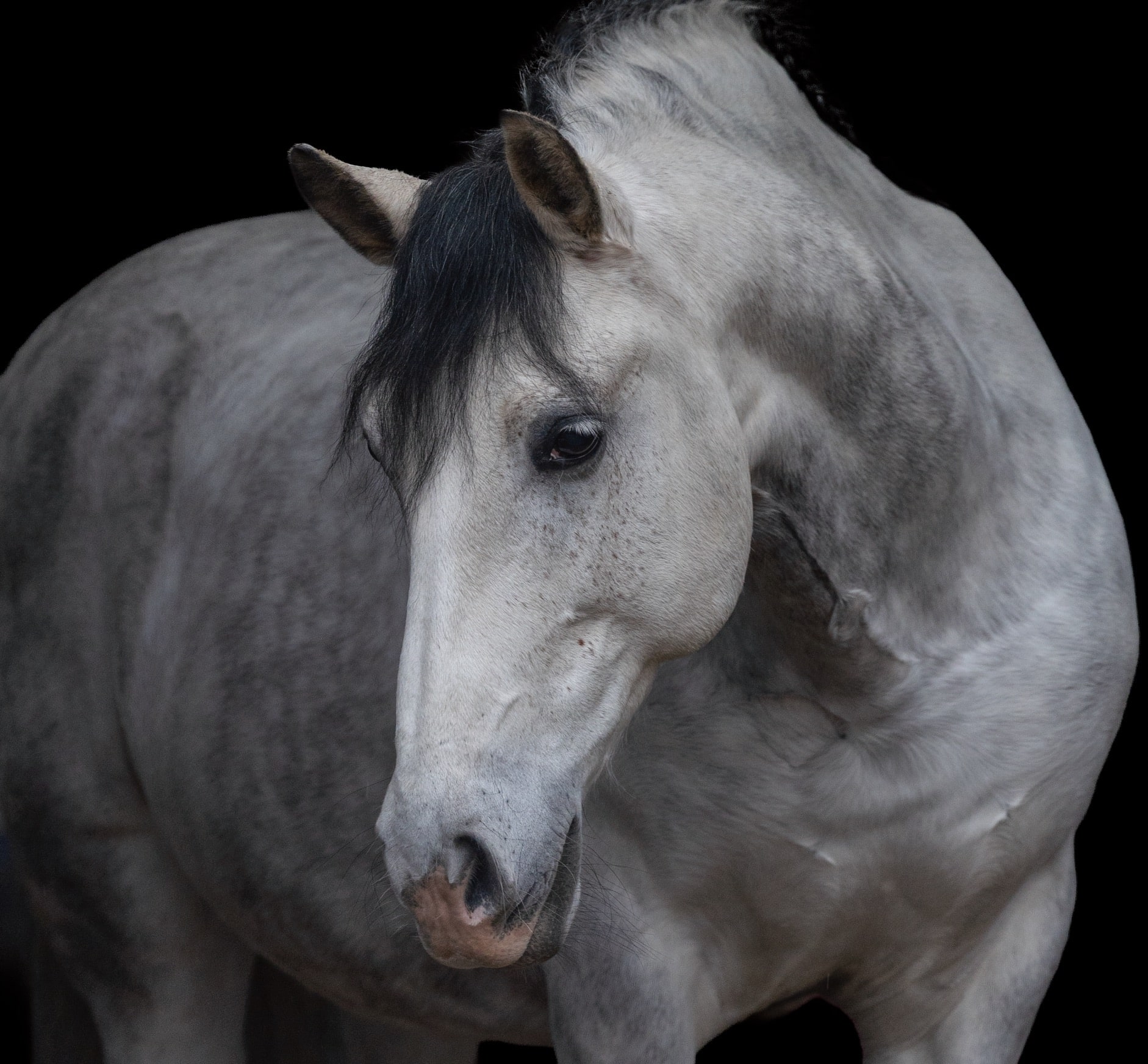 Halster verwijderen met generatieve vulling in Photoshop (zonder plastic look)