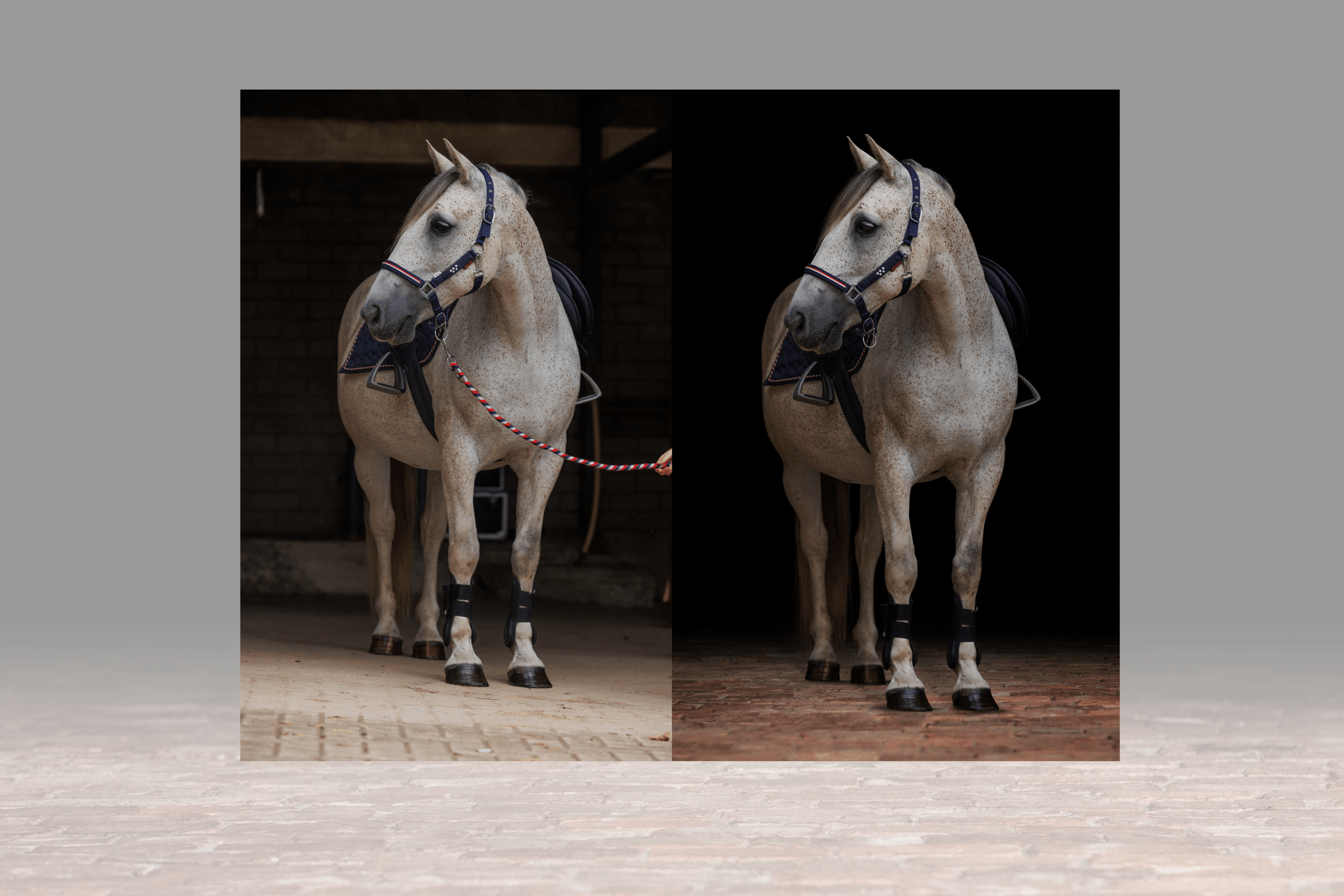 Black Background Paardenfotografie Bewerken in Photoshop – De Complete Workflow voor Professionele Controle