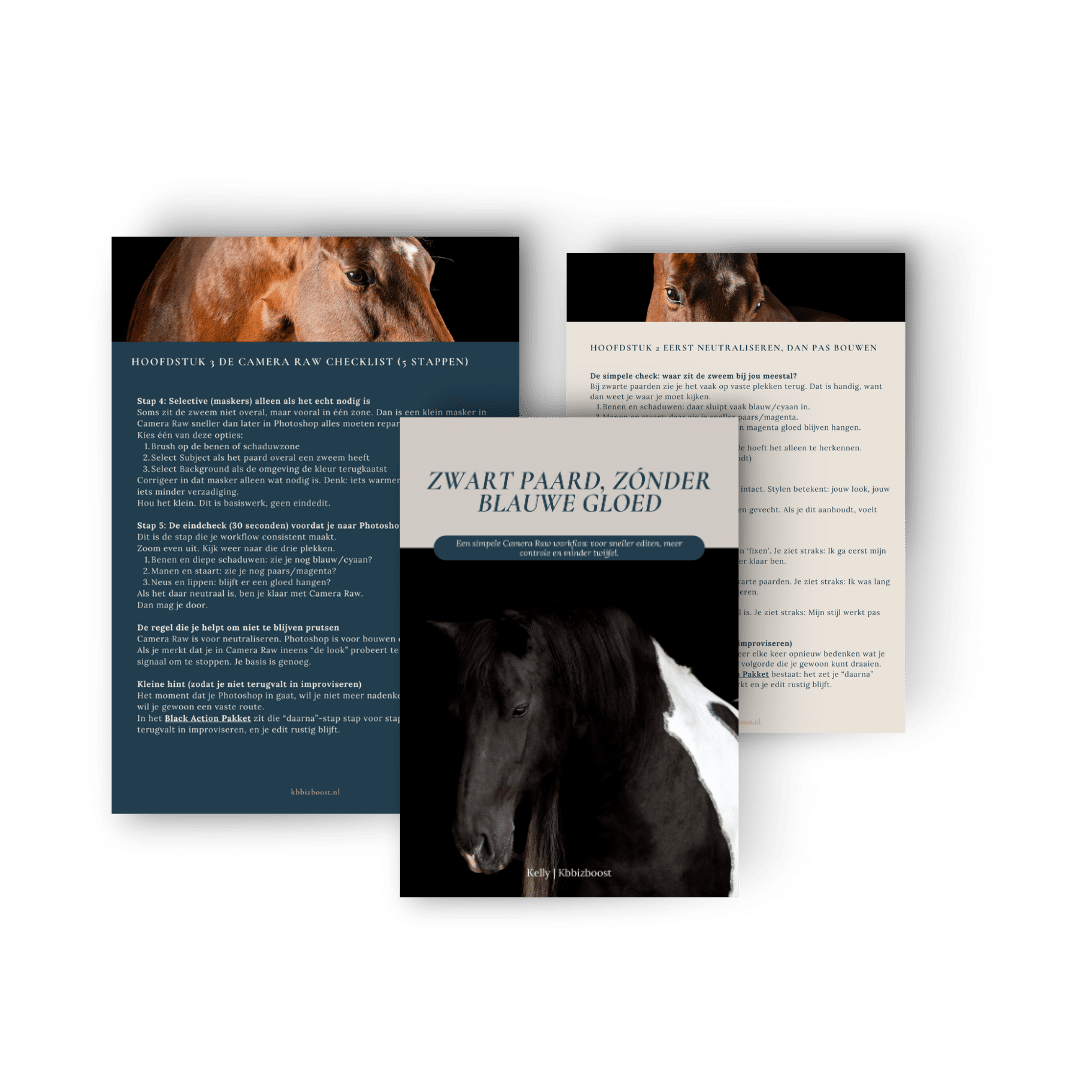 Zwart paard Photoshop Blauw