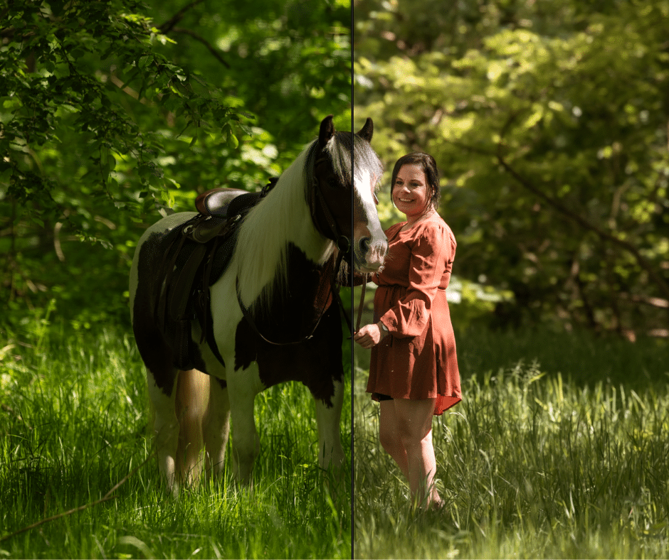 Lightroom Workflow Preset paardenfotografie