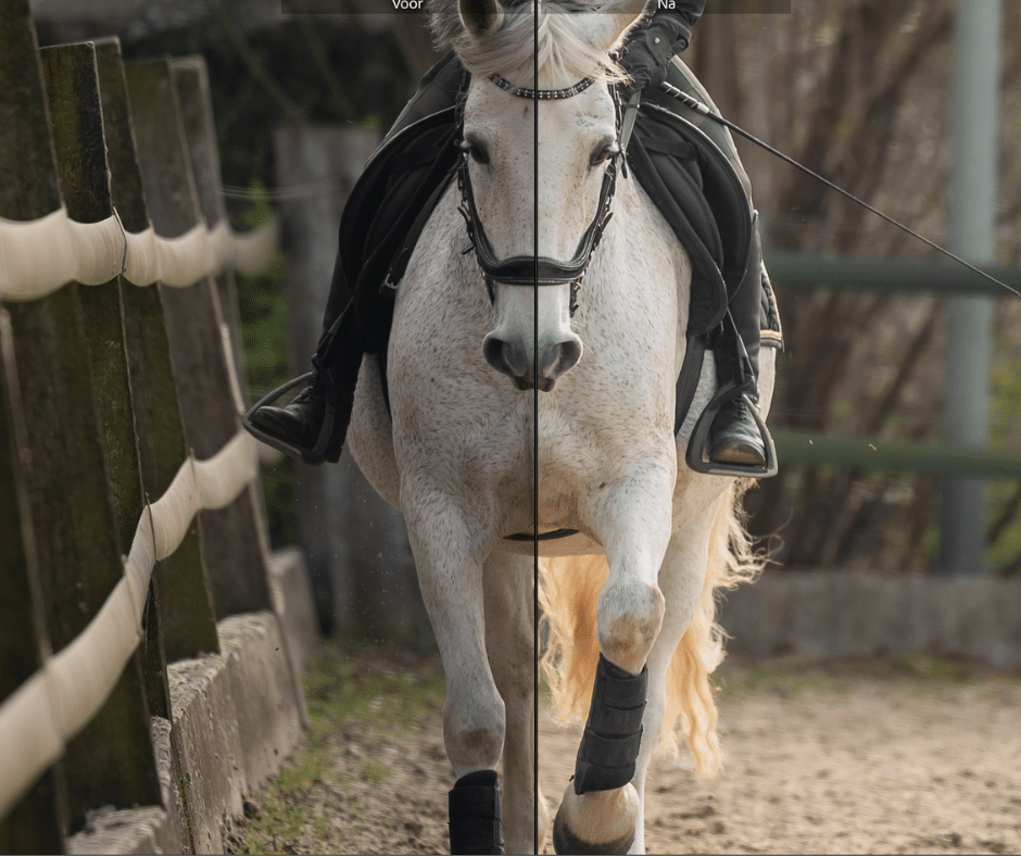 Lightroom Workflow Preset paardenfotografie