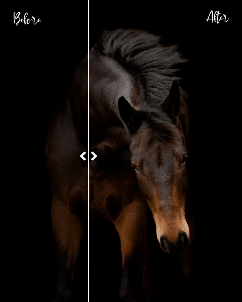 black background paard bewerken, achtergrond zwart maken Photoshop, Photoshop paardenfotografie, blackfoto paard workflow, manen Photoshop bewerken