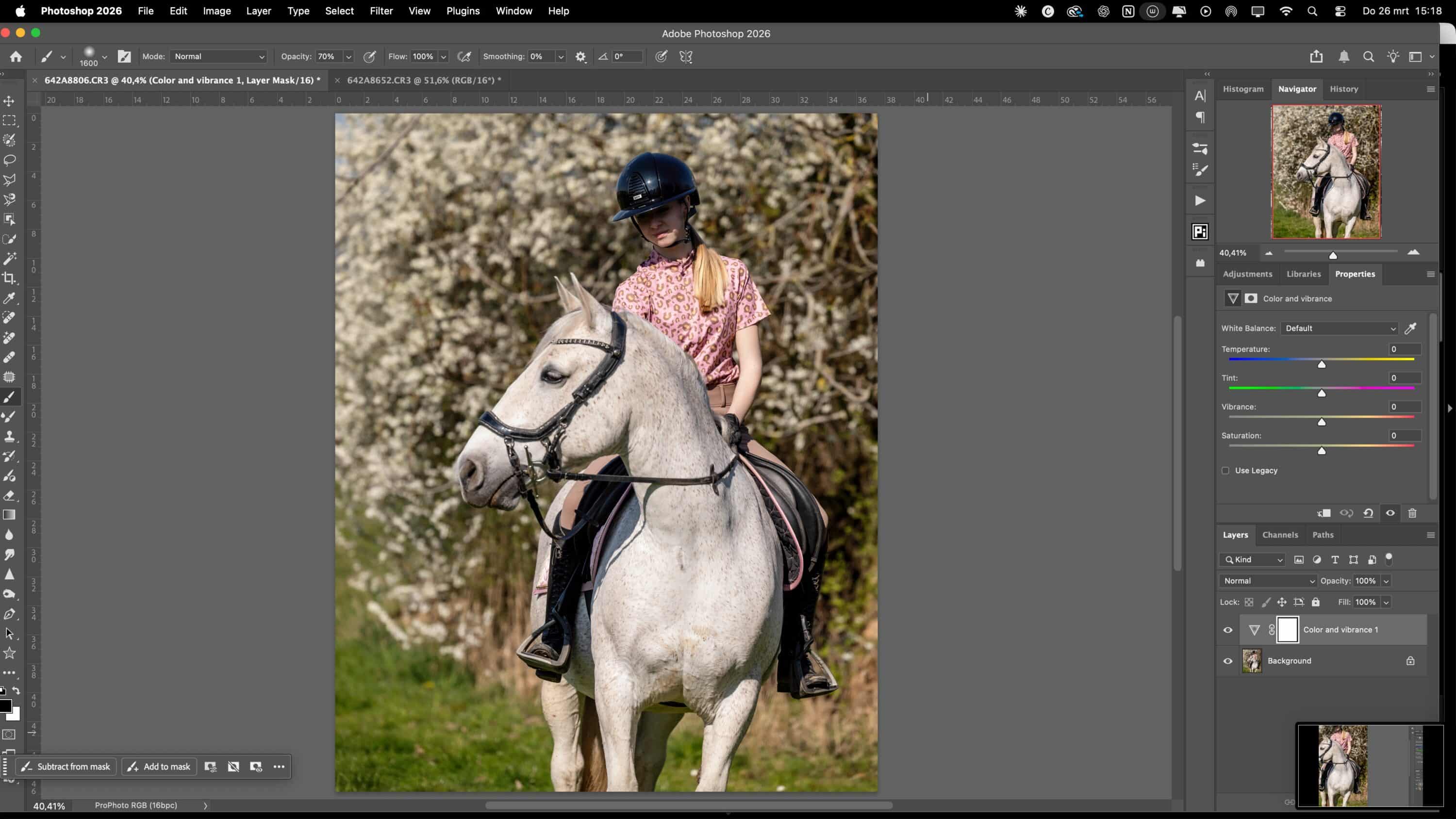 Witbalans Paardenfoto photoshop