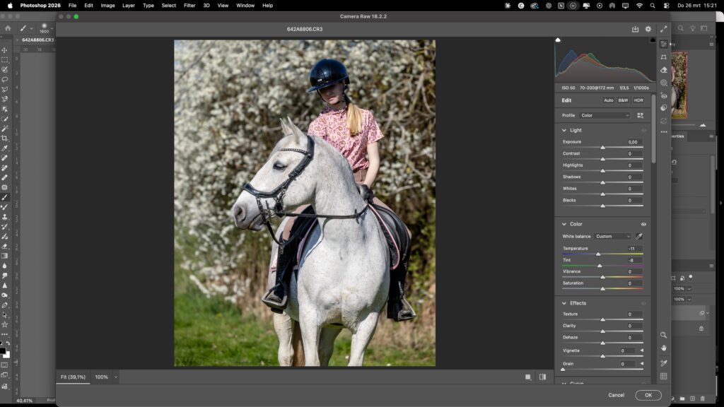 Witbalans Paardenfoto photoshop