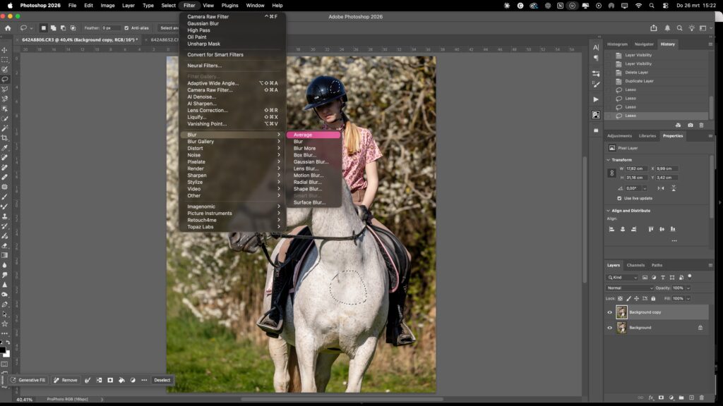 Witbalans Paardenfoto photoshop