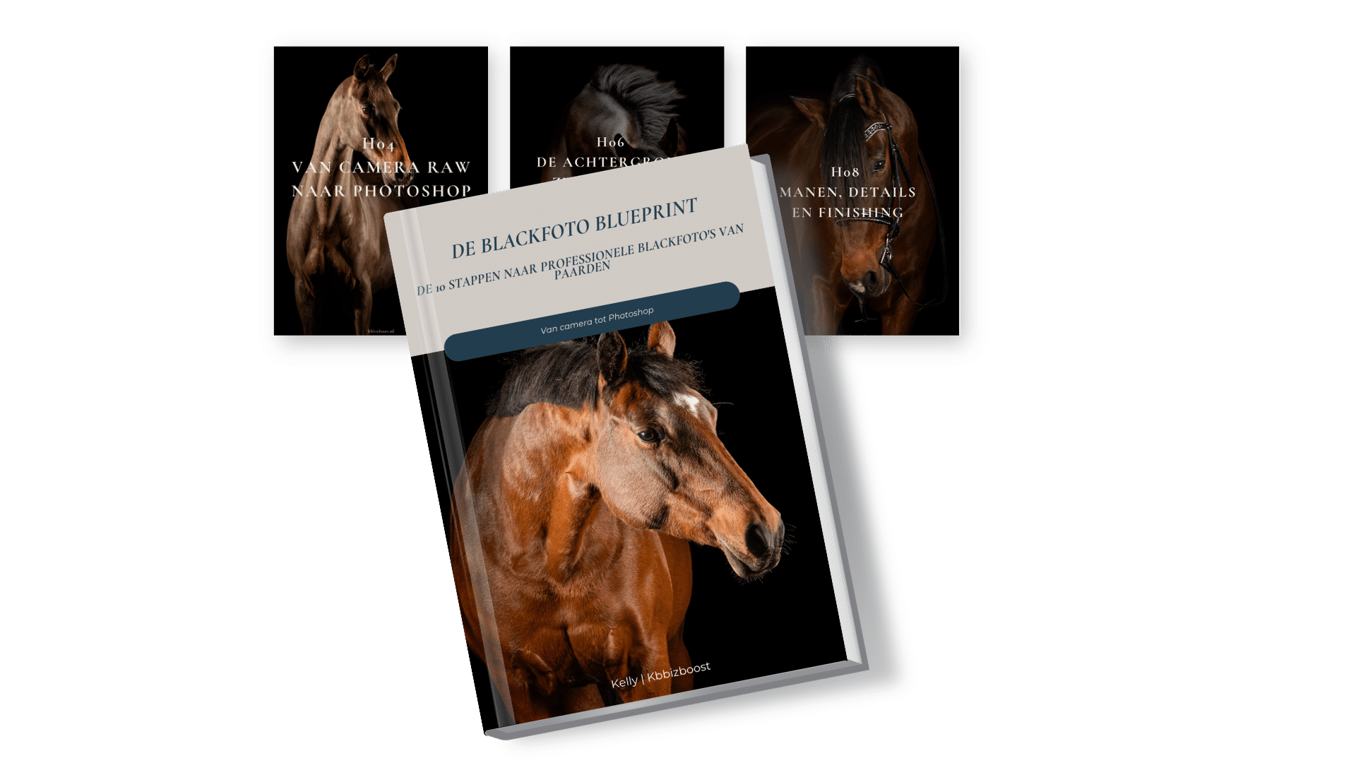 Van camera tot Photoshop, stap voor stap naar professionele blackfoto's van paarden.