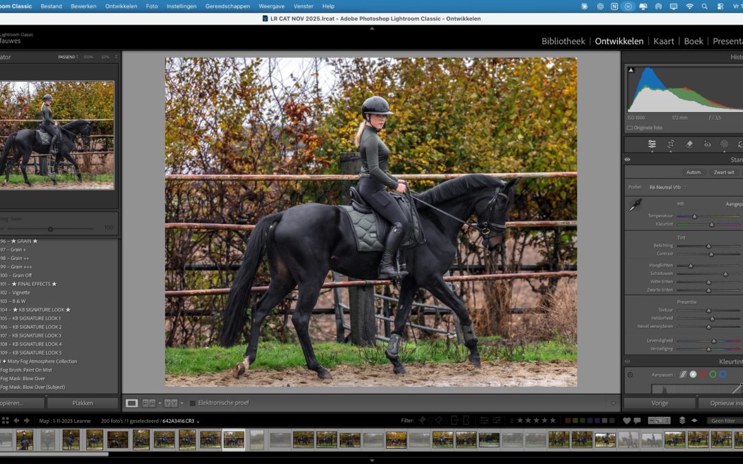Lightroom workflow voor beginners: de vaste volgorde waardoor presets wél werken