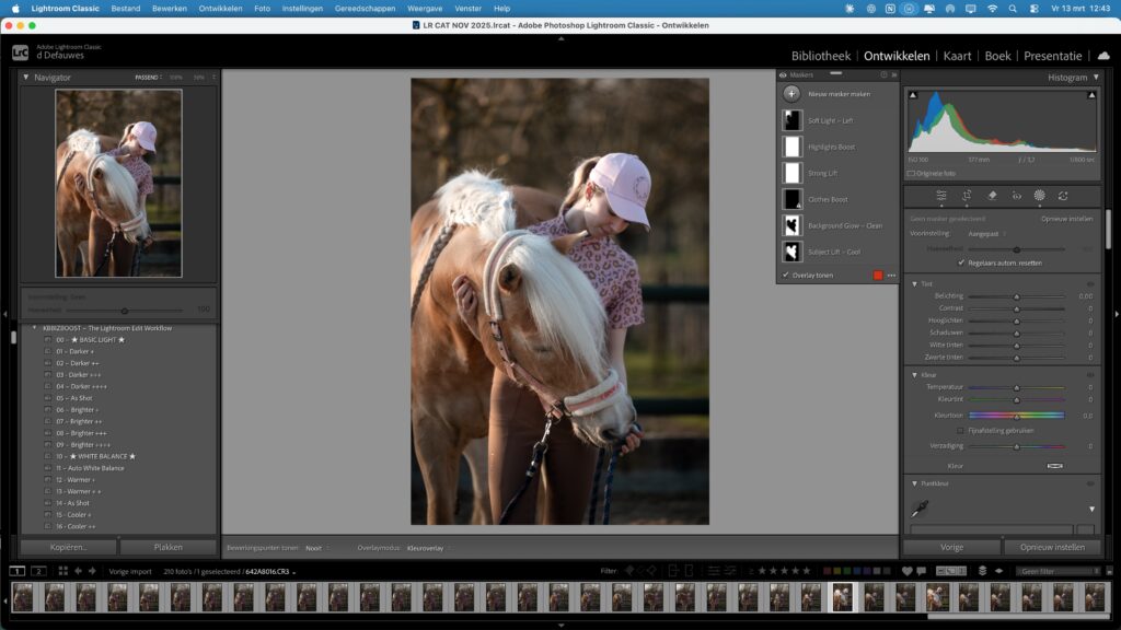 Lightroom masking paneel open met paardenfoto in de Develop module