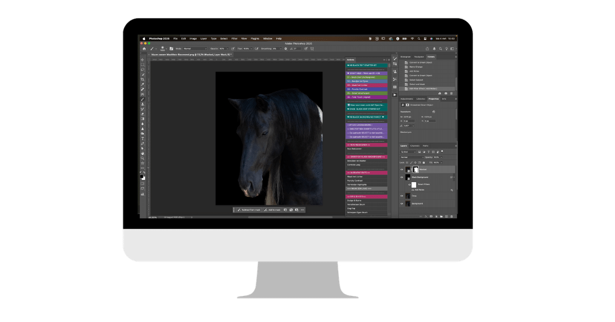 Photoshop Lagen Uitgelegd: De Ultieme Beginnersgids voor Paardenfotografen