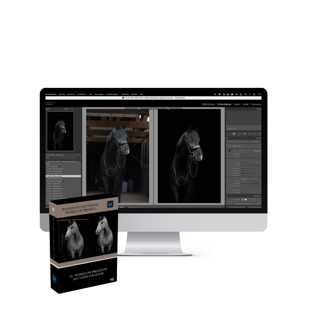 Lightroom workflow paardenfotografie
