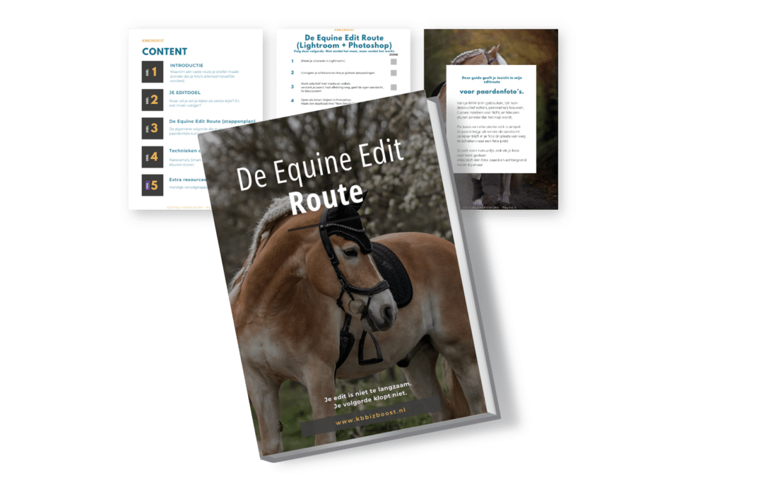 Lightroom workflow voor paardenfotografen: stop met schuiven en krijg rust in je edit