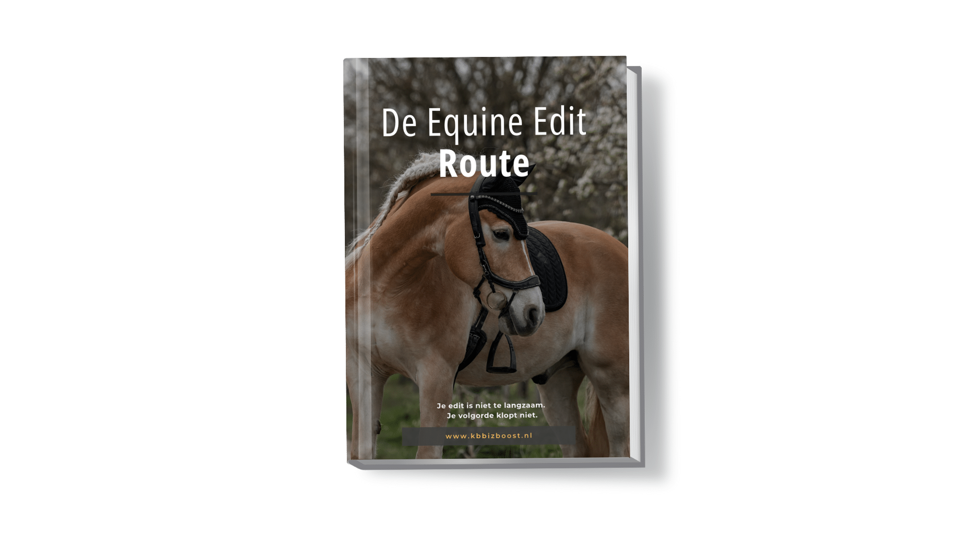 De Equine Edit Route – Gratis Editworkflow voor Paardenfotografen