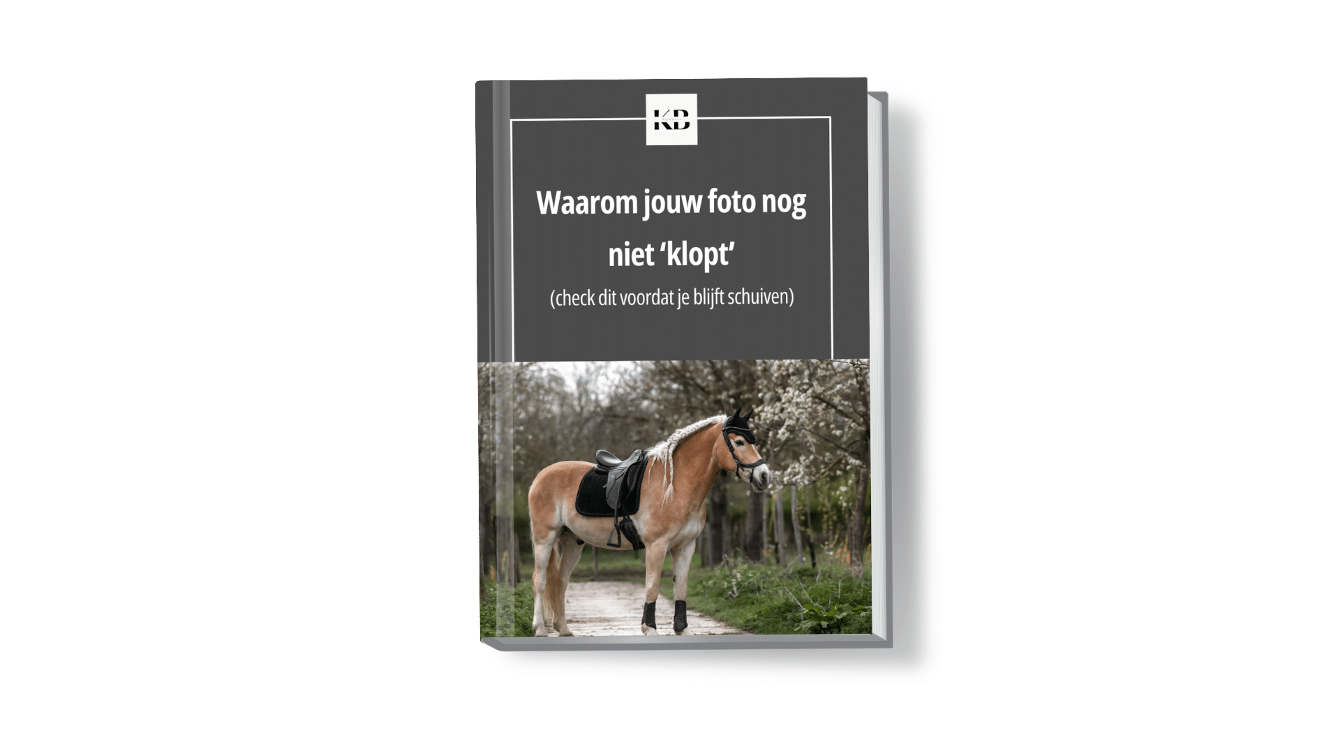 Waarom Jouw Foto Niet Klopt – Gratis Checklist voor Paardenfotografen
