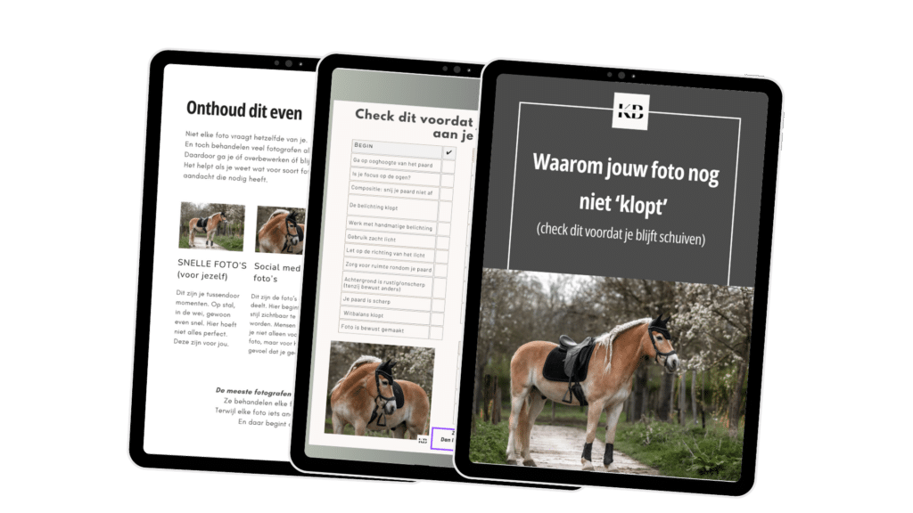 Waarom Jouw Foto Niet Klopt – Gratis Checklist voor Paardenfotografen