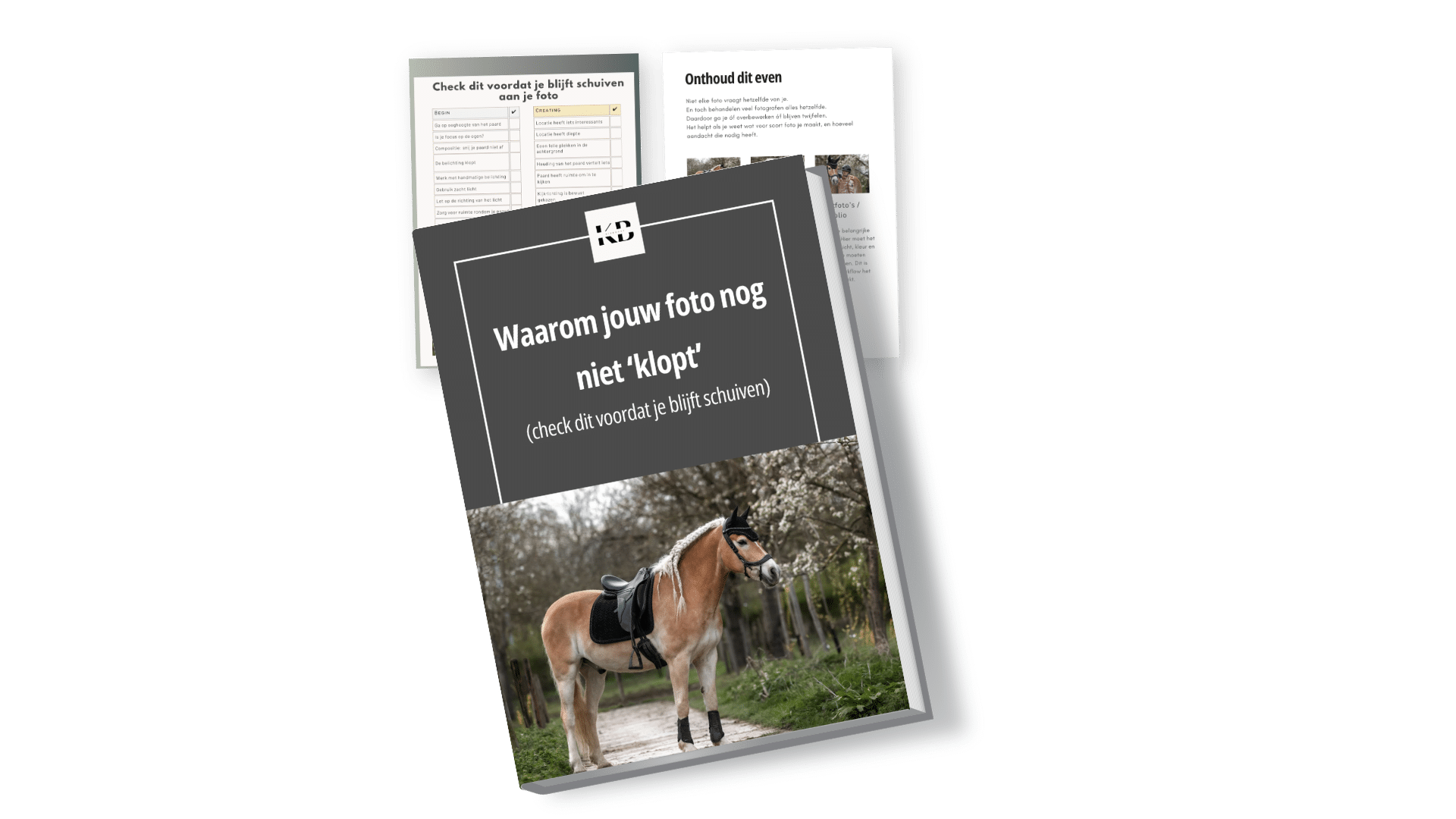 Waarom Jouw Foto Niet Klopt – Gratis Checklist voor Paardenfotografen