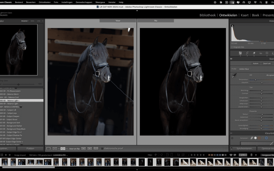 Blackfoto’s bewerken in Lightroom: de vaste editvolgorde die altijd werkt