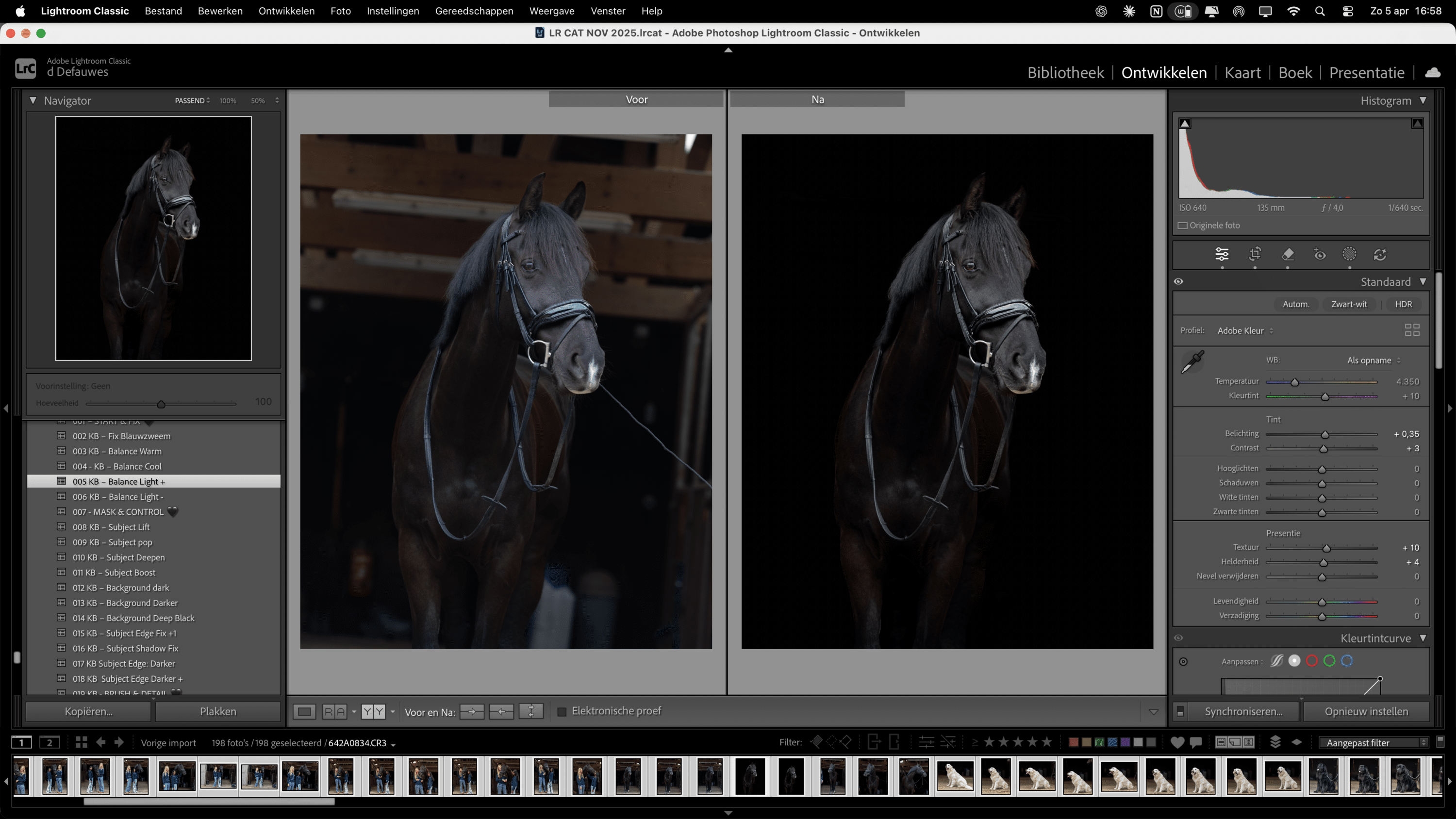 Blackfoto’s bewerken in Lightroom: de vaste editvolgorde die altijd werkt